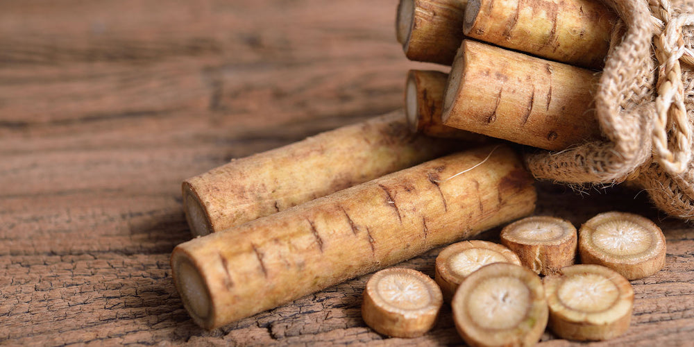 articles/Burdock_Root.jpg
