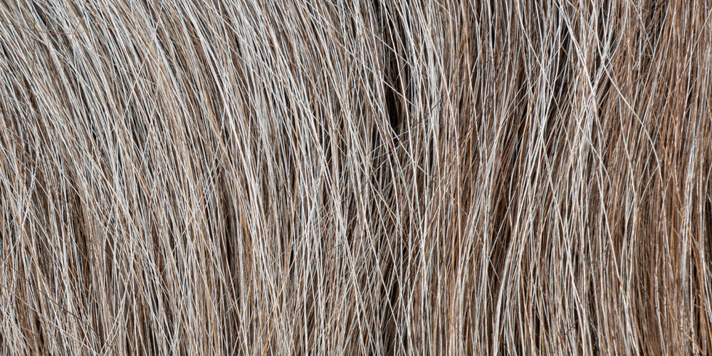 articles/Grey_on_Brown.jpg