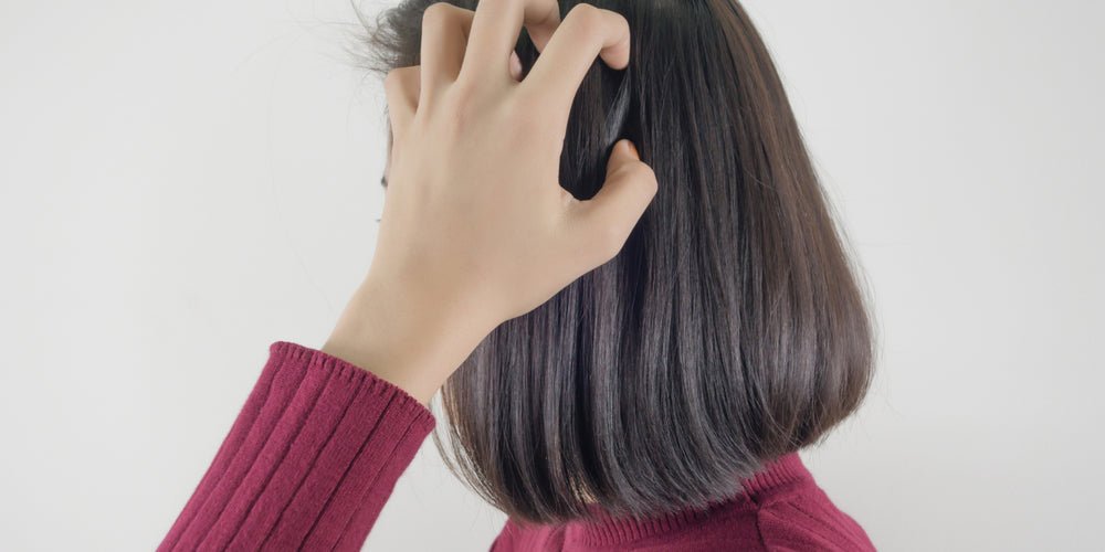 articles/Scalp.jpg
