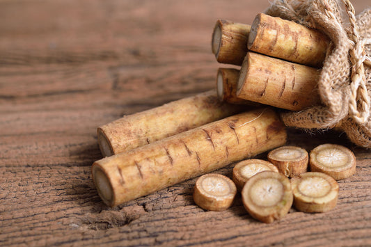 What Benefits Does Burdock Root Provide for Aging Hair?