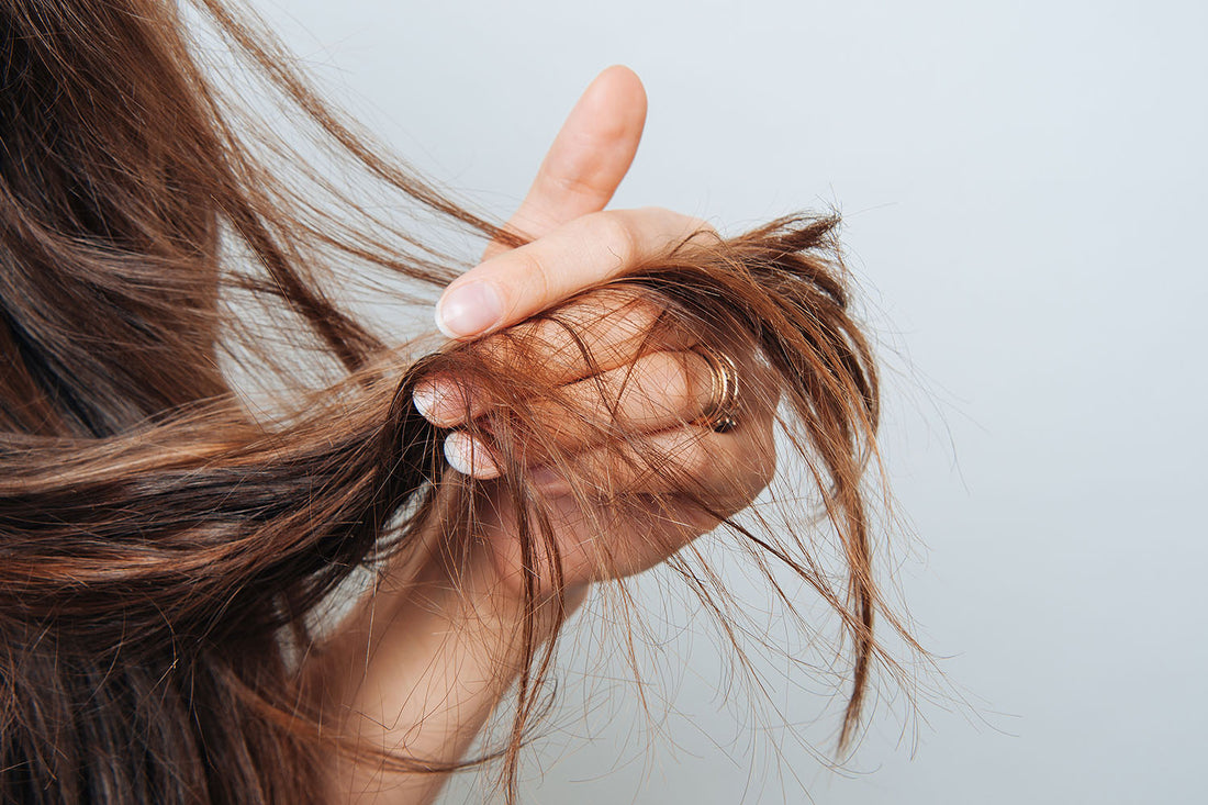 What Does Damaged Hair Actually Look Like?