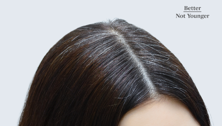 How to Hide Gray Hair On Brunettes