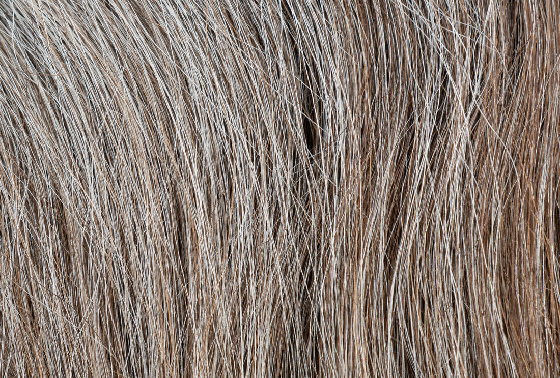 How To Use Highlights To Cover Grey on Brown & Dark Hair