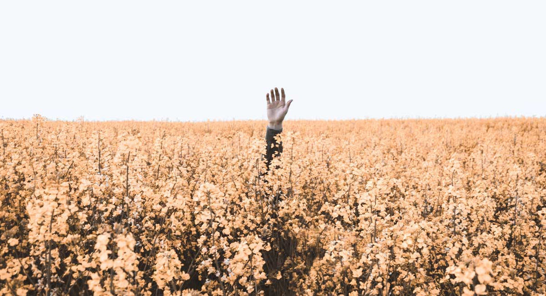 How to take care of your hair? A Baby Boomer's Secret | BNY