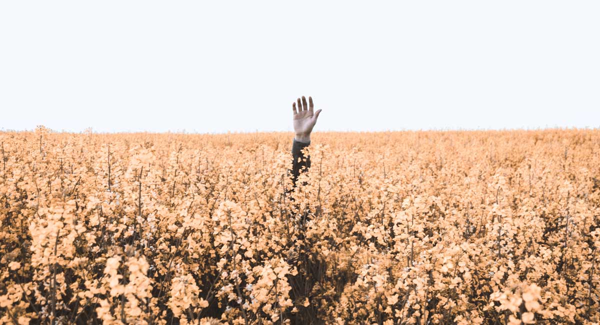 How to take care of your hair? A Baby Boomer's Secret | BNY