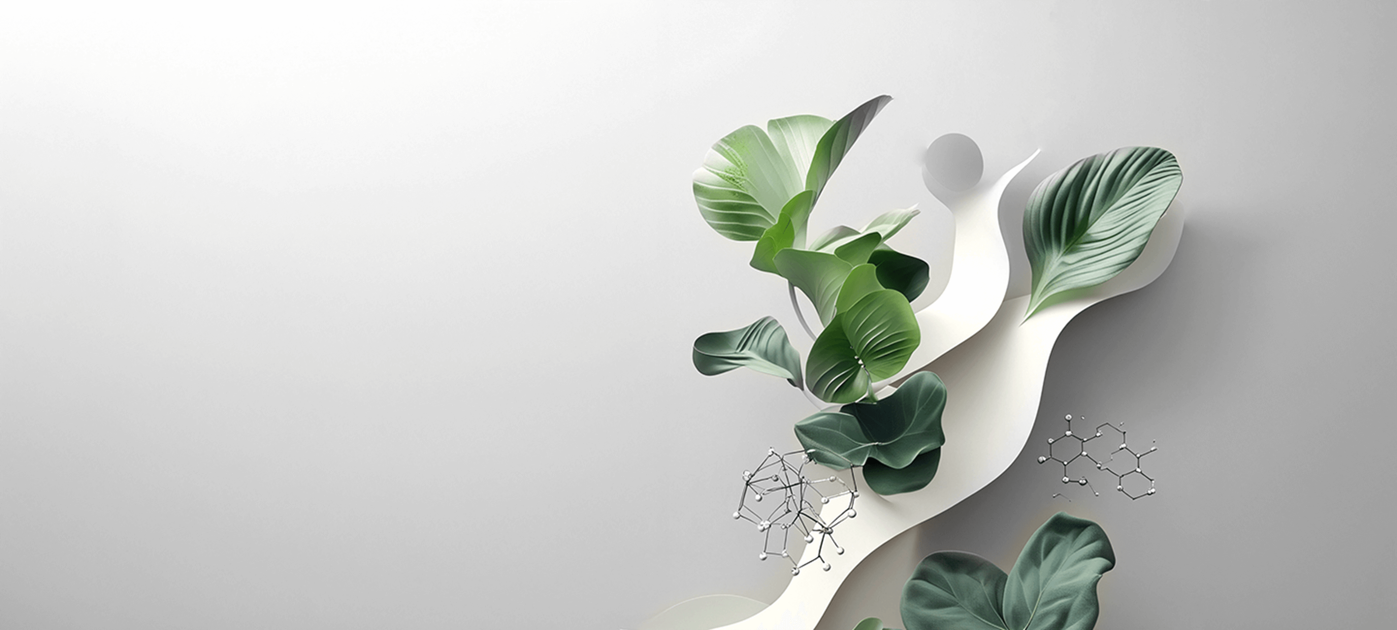Decorative arrangement of green leaves on a light gray background