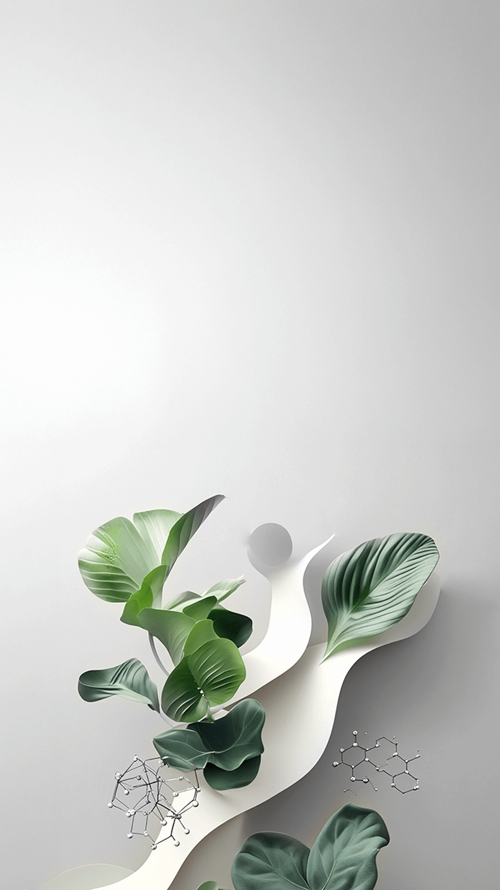 Decorative plant with green leaves on a white background