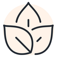 Icon of leaves with a white background