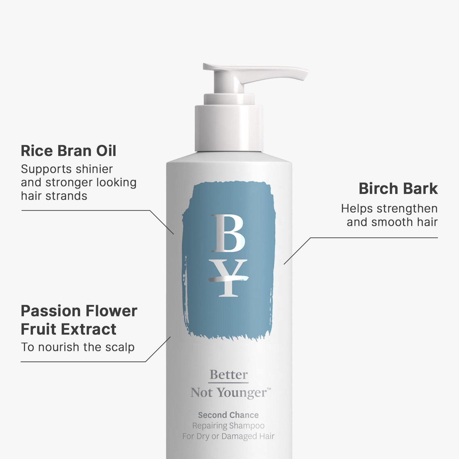 Second Chance Repairing Shampoo Dry/Damaged Hair Better Not Younger